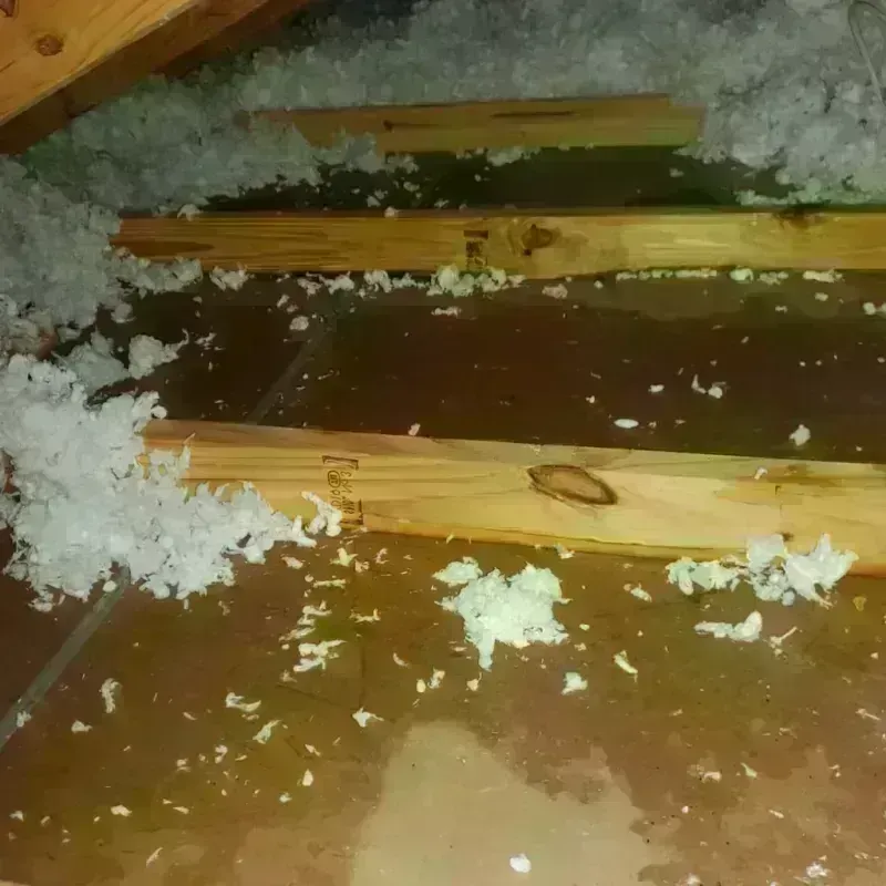 Attic Water Damage in Webb City, MO