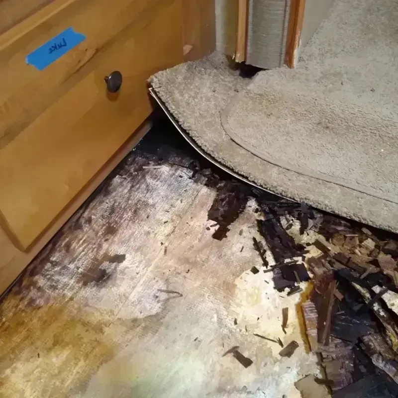 Wood Floor Water Damage in Webb City, MO